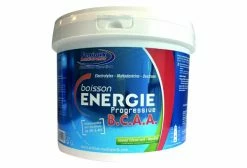 Fenioux Multi-Sports Boisson énergétique Fenioux Energie Progressive BCAA Citron Vert Menthe 1,5kg