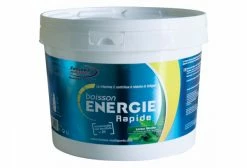 Fenioux Multi-Sports Boisson énergétique Fenioux Energie Rapide Menthe 1,5kg