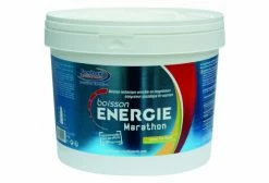 FENIOUX Multi-Sports Boisson Marathon 1.5kg Gout Thé Pêche